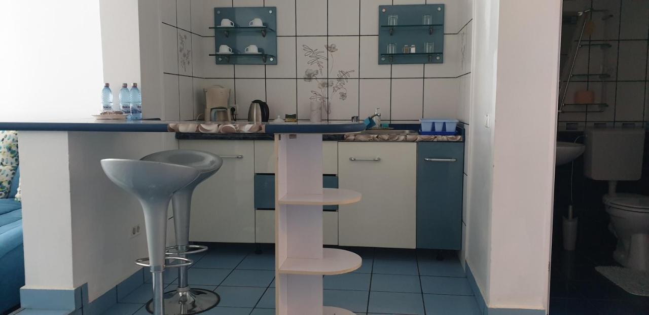 Vila Roxy Poiana Brašov Exteriér fotografie