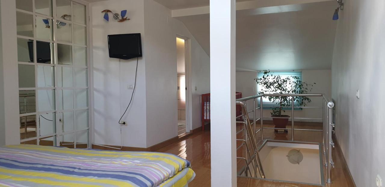 Vila Roxy Poiana Brašov Exteriér fotografie