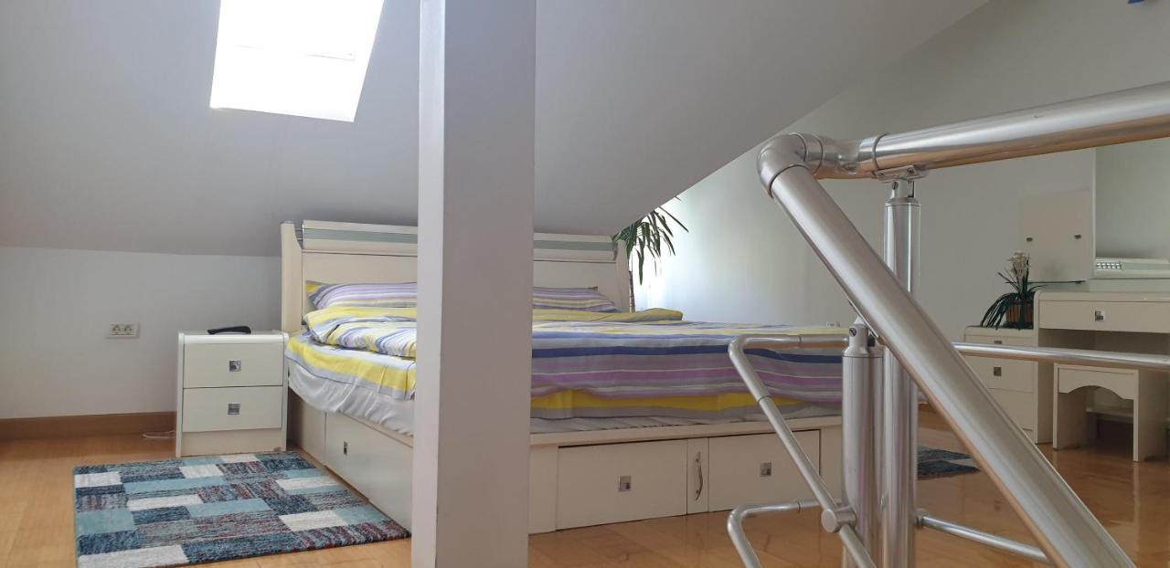 Vila Roxy Poiana Brašov Exteriér fotografie