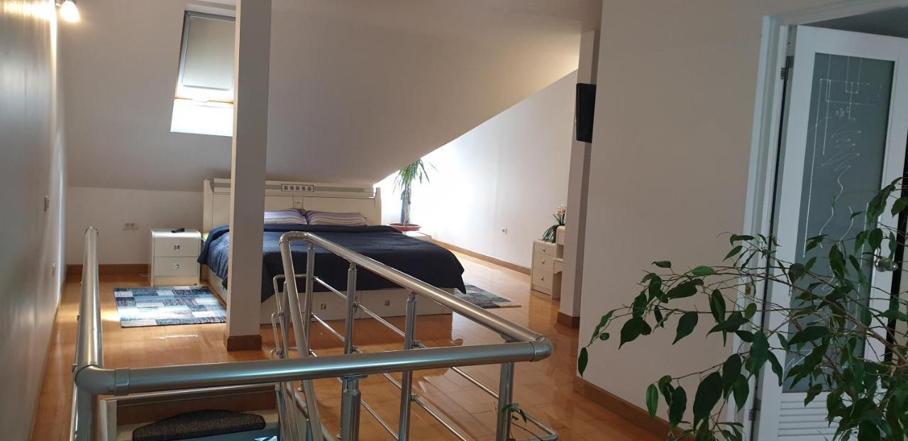 Vila Roxy Poiana Brašov Exteriér fotografie
